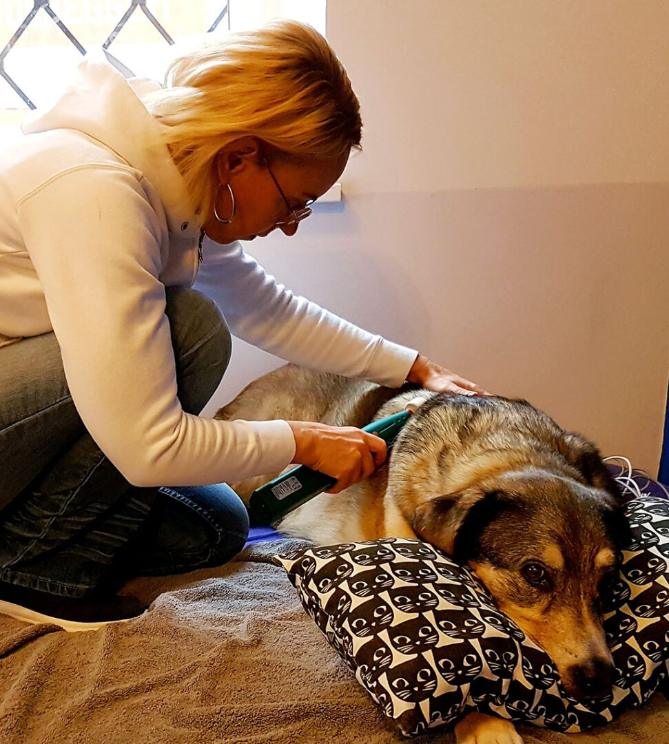 Matrixmobilanwendung