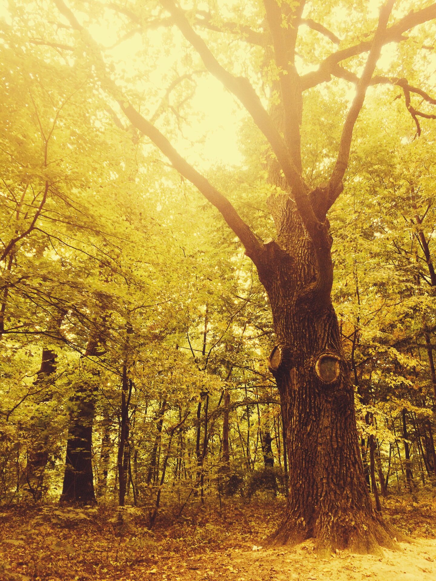 Nature 2023 11 27 05 00 44 utc